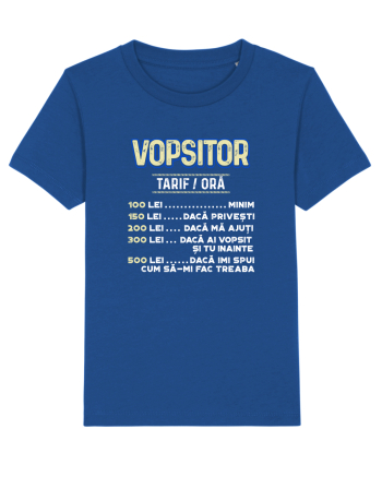 Vopsitor Majorelle Blue
