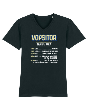 Vopsitor Black