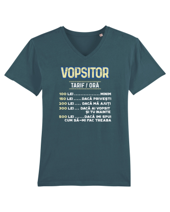 Vopsitor Stargazer