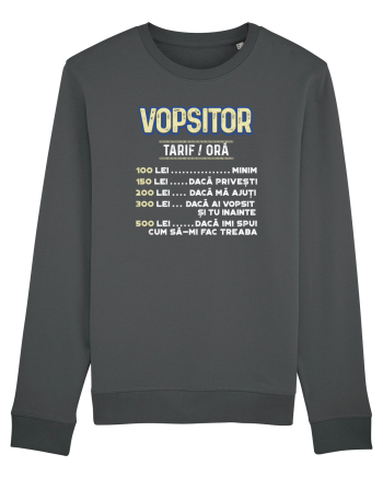 Vopsitor Anthracite