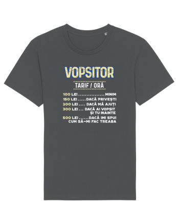 Vopsitor Anthracite
