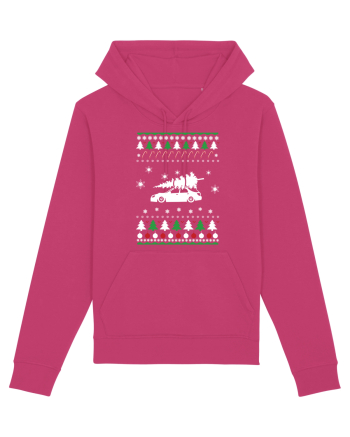 CHRISTMAS Raspberry