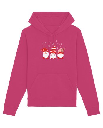 Christmas Gnomes Raspberry