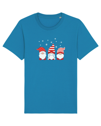 Christmas Gnomes Azur