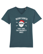 Dear Santa They Are The Naughty Ones Tricou mânecă scurtă guler V Bărbat Presenter