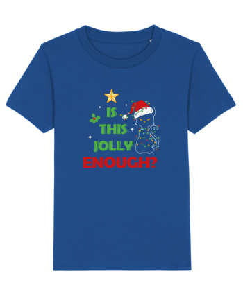 Is This Jolly Enough Majorelle Blue