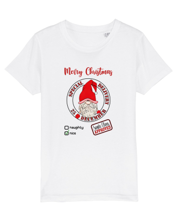 Christmas Special Delivery White