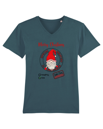Christmas Special Delivery Stargazer