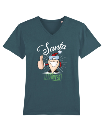 Santa approved Stargazer