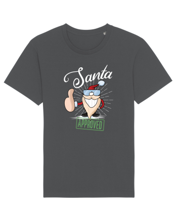 Santa approved Anthracite