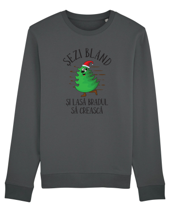 Sezi bland si lasa bradul sa creasca Anthracite