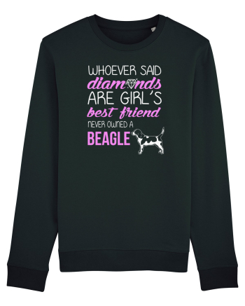 BEAGLE Black