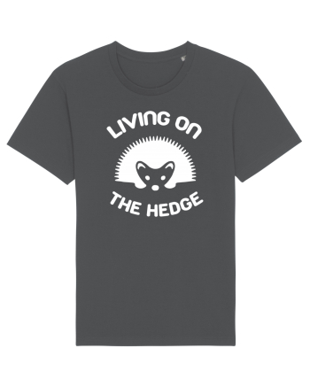 LIVING ON THE HEDGE Anthracite