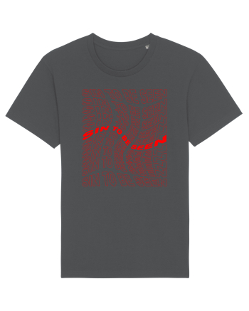 Sin to be seen Anthracite
