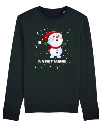 A venit iarna! Black