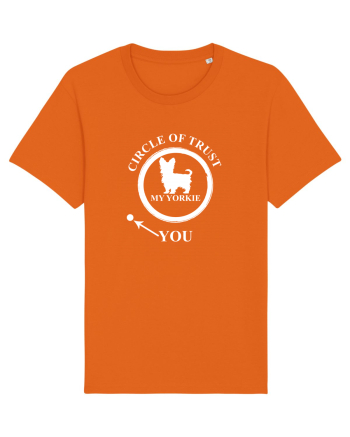 YORKIE Bright Orange