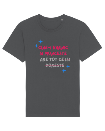 Cine-i harnic si munceste n-are tot ce isi doreste Anthracite