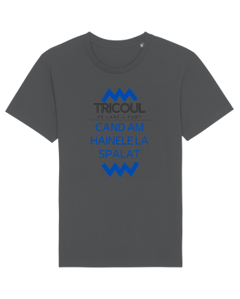 Tricoul pe care il port cand am hainele la spalat. Anthracite