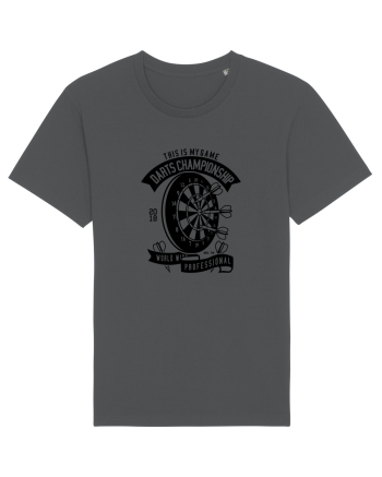 Darts Champion Black Anthracite