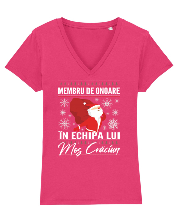 Echipa lui Mos Craciun Raspberry