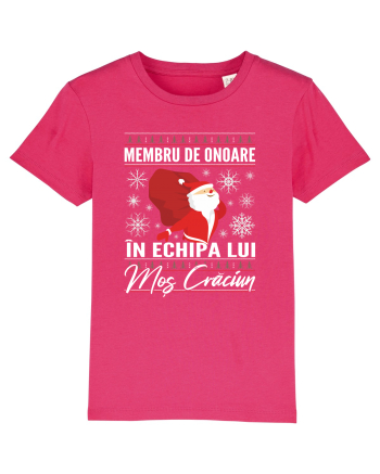 Echipa lui Mos Craciun Raspberry