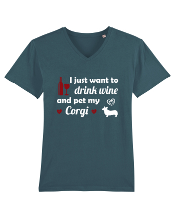 PET CORGI Stargazer