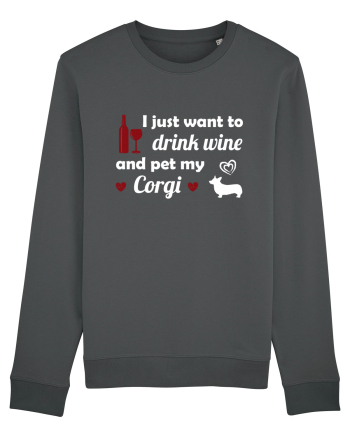 PET CORGI Anthracite