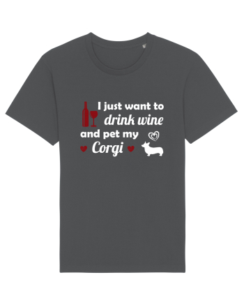 PET CORGI Anthracite