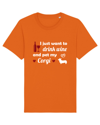 PET CORGI Bright Orange