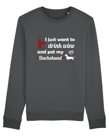 PET DACHSHUND Anthracite