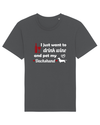 PET DACHSHUND Anthracite