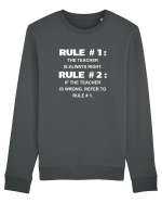 TEACHER Bluză mânecă lungă Unisex Rise