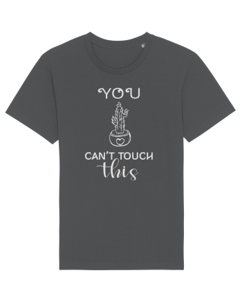 Can't Touch This Anthracite