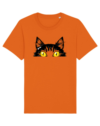 Juma de Pisica Bright Orange