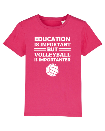 VOLLEYBALL Raspberry