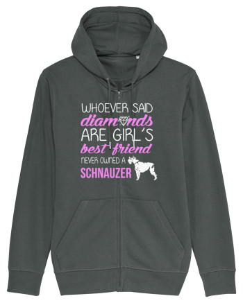 SCHNAUZER Anthracite