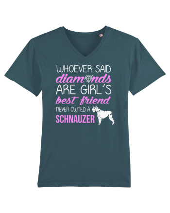 SCHNAUZER Stargazer