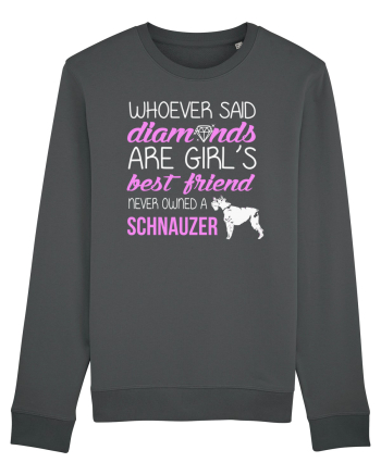 SCHNAUZER Anthracite