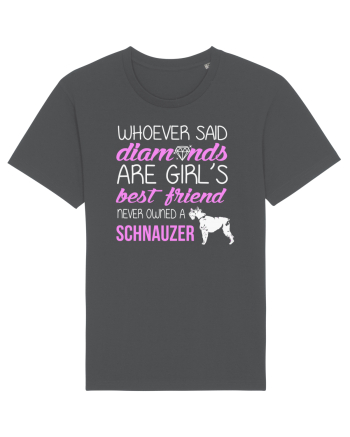 SCHNAUZER Anthracite