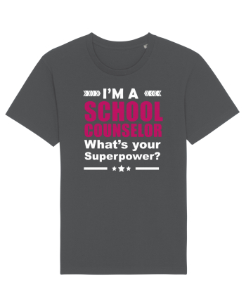 SCHOOL COUNSELOR Anthracite