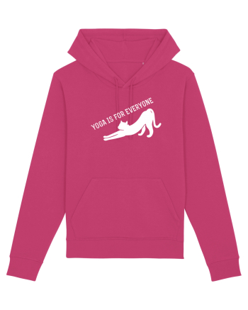 YOGA CAT Raspberry