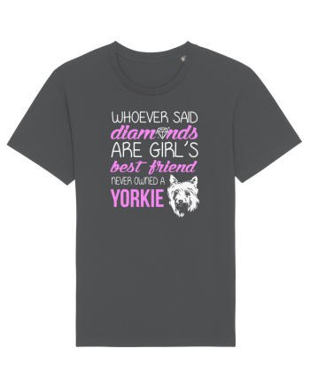 YORKIE Anthracite