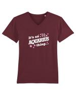 AQUARIUS Tricou mânecă scurtă guler V Bărbat Presenter