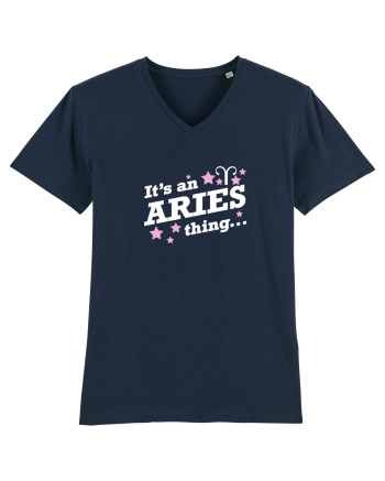 ARIES French Navy