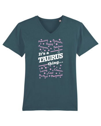 TAURUS Stargazer