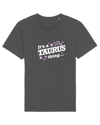 TAURUS Anthracite