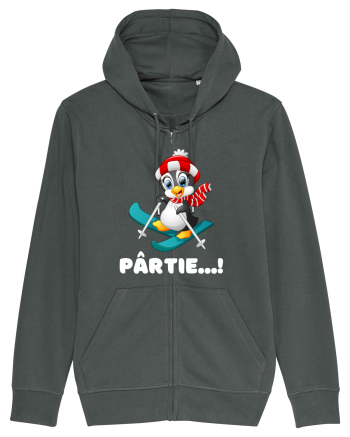 Pârtie... schior Incepător! Feriți-vă! Anthracite