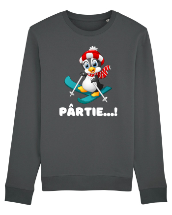 Pârtie... schior Incepător! Feriți-vă! Anthracite