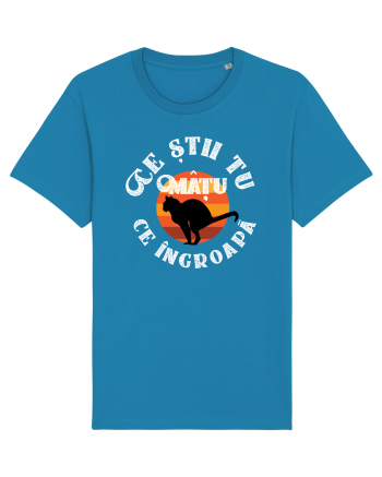 Ce știi tu ce îngroapă mâțu... Azur