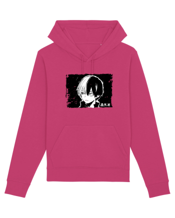  Shoto Todoroki  Raspberry